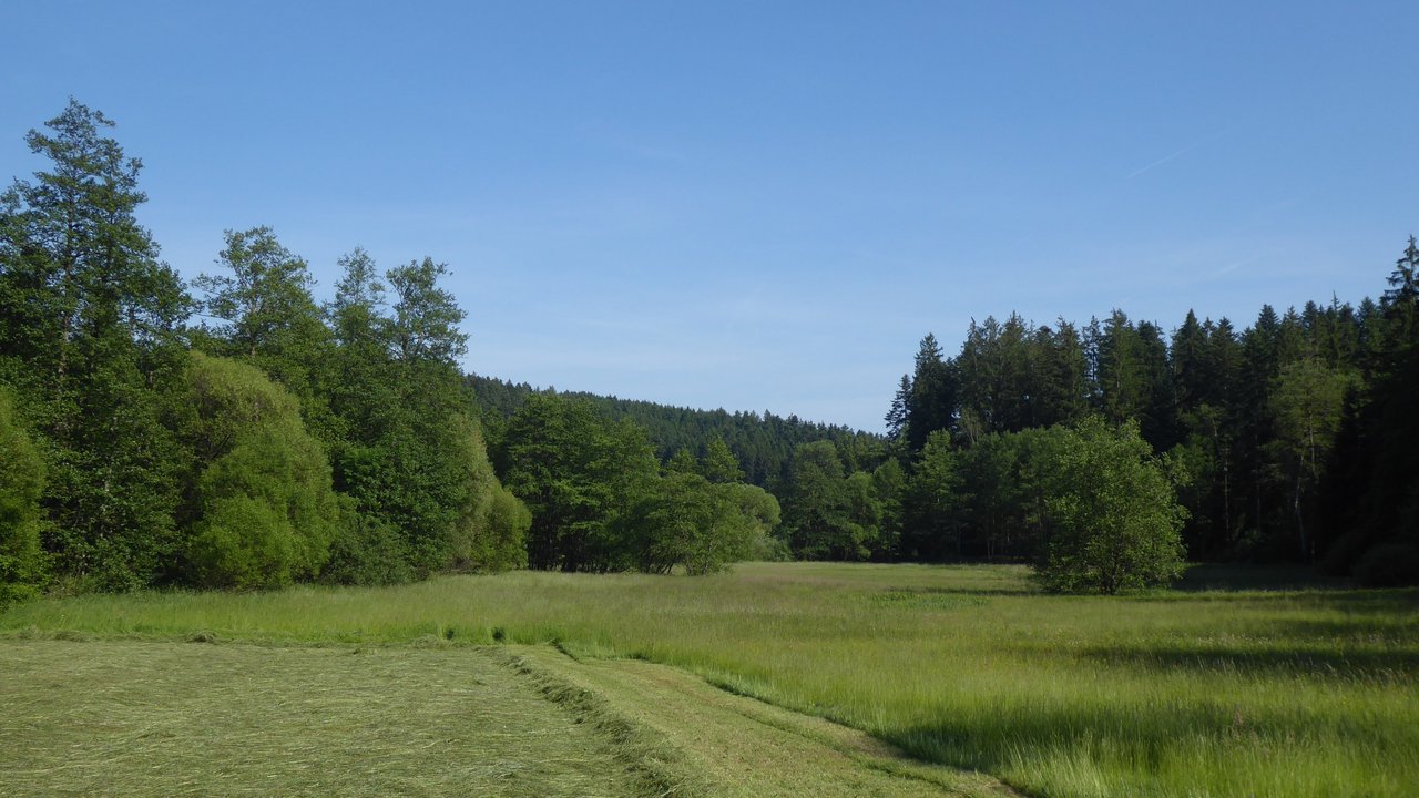 Naturschutzgebiet „Rottal zwischen Hüttenbühl und Buchengehren