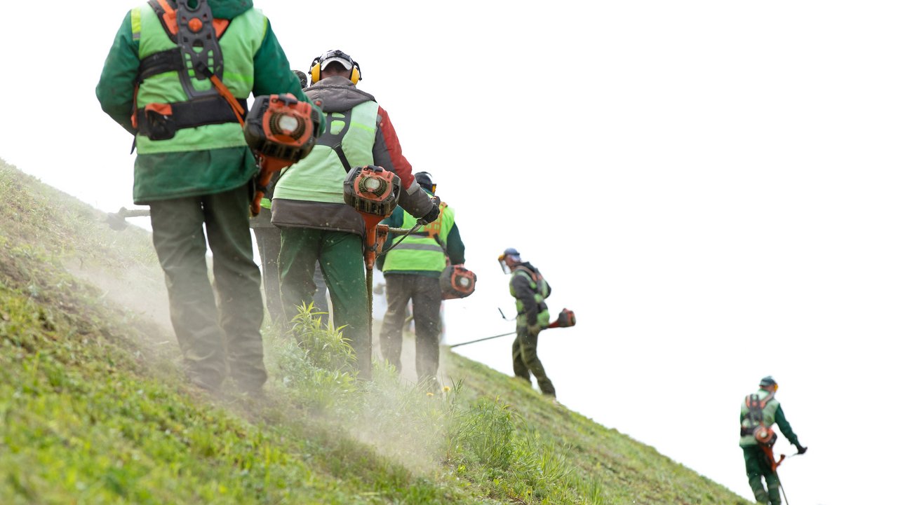 Bild zeigt Arbeiter beim Rasen trimmen