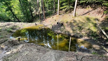 Nach der Sanierung kommt wieder Licht und Luft an das Gewässer
