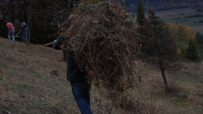 Landschaftspflegeeinsatz im Naturschutzgebiet Haarberg-Wasserberg. Schnittgut wird aus der Wacholderheide herausgetragen