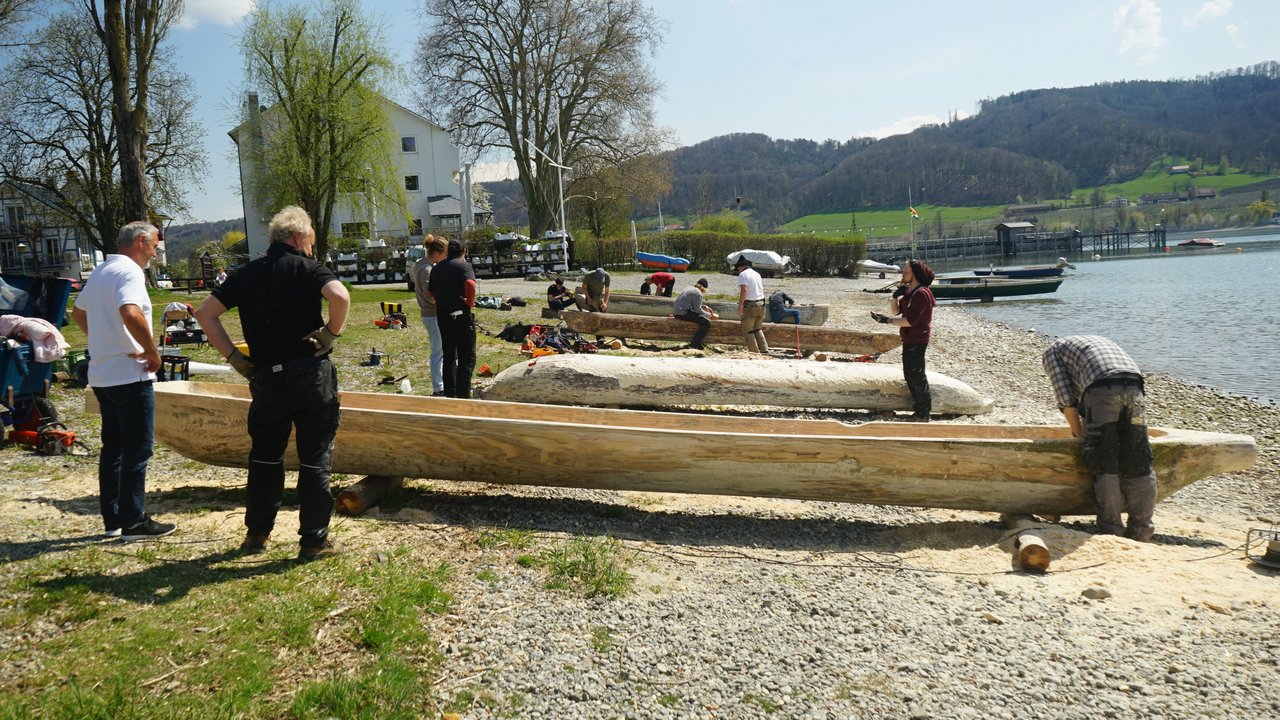 Bei bestem Frühlingswetter werden am Ufer der Wangener Bucht, Gemeinde Öhningen, vier Einbäume von vier verschiedenen Teams fertiggestellt.