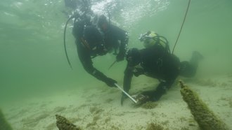Taucher bei der Untersuchung von Pfahlreihen in der Flachwasserzone um die Insel Reichenau