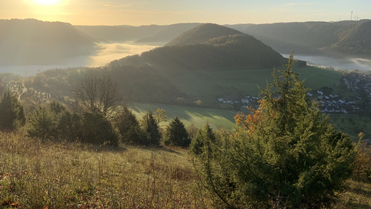 Wacholderheide im Naturschutzgebiet Haarberg-Wasserberg mit Blick auf den Weigoldsberg und das Obere Filstal