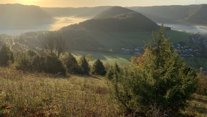 Wacholderheide im Naturschutzgebiet Haarberg-Wasserberg mit Blick auf den Weigoldsberg und das Obere Filstal
