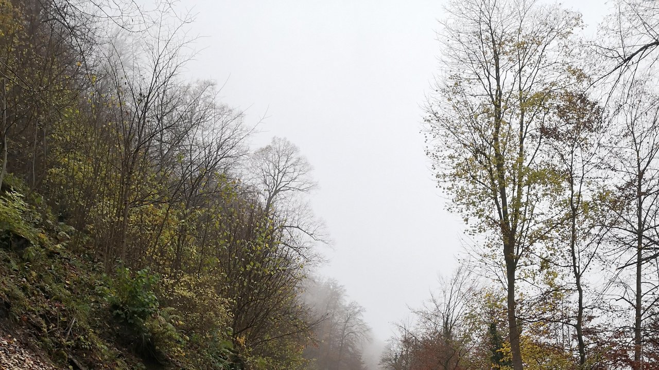 Fahrbahndecke