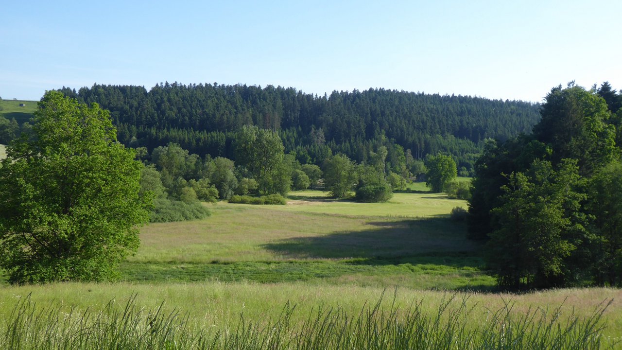 Zwischen Kapf und Tennhöfle ist das Leintal sehr ursprünglich und kaum erschlossen. Im Hintergrund lässt sich der gewundene Lauf der Lein zwischen den Weidengebüschen erahnen. Wiesen und Wälder